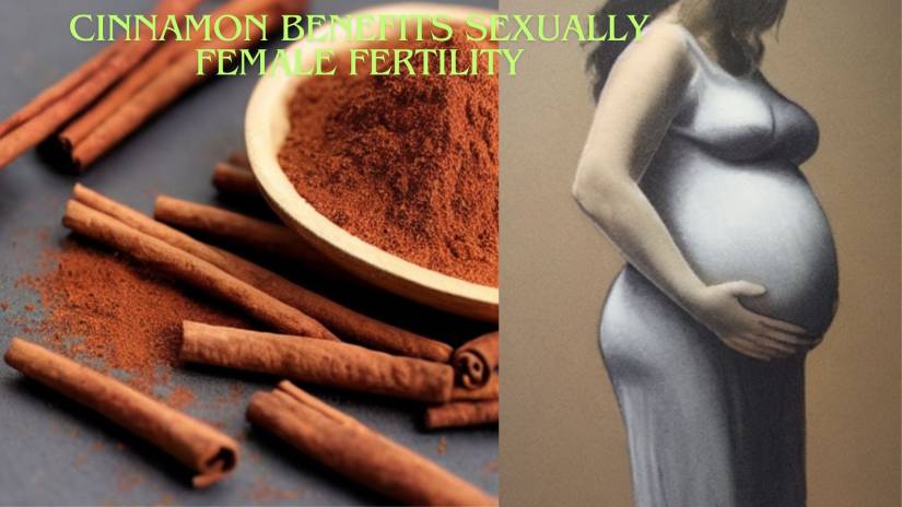 Cinnamon Benefits Sexually Female Fertility