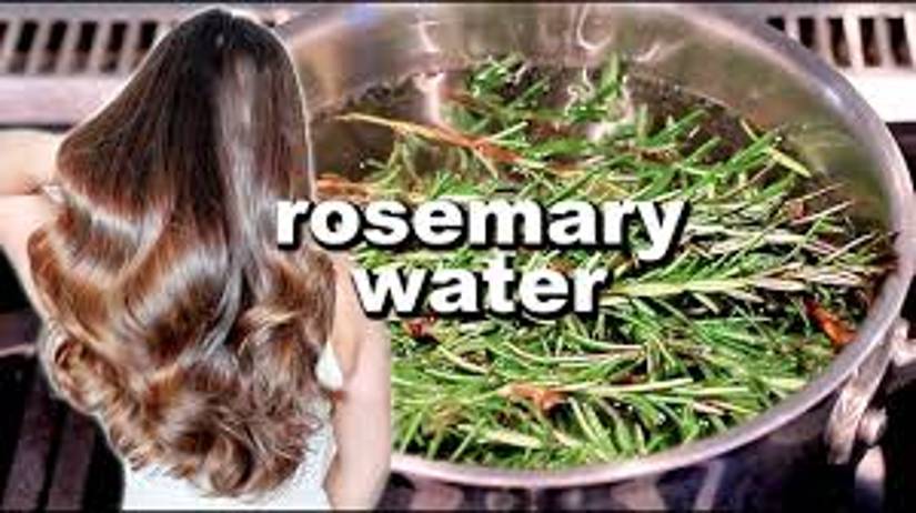 Does Rosemary Water Really Help Hair Growth