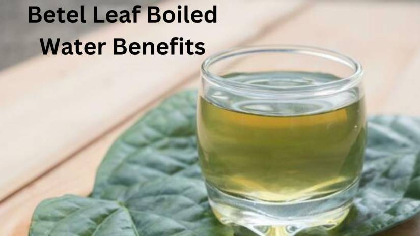 Betel leaf boiled water benefits for health and wellness