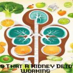 Signs That A Kidney Detox is Working